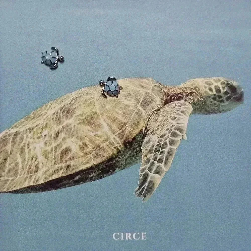 New sea turtle dainty stud earrings! - Picture 1 of 2